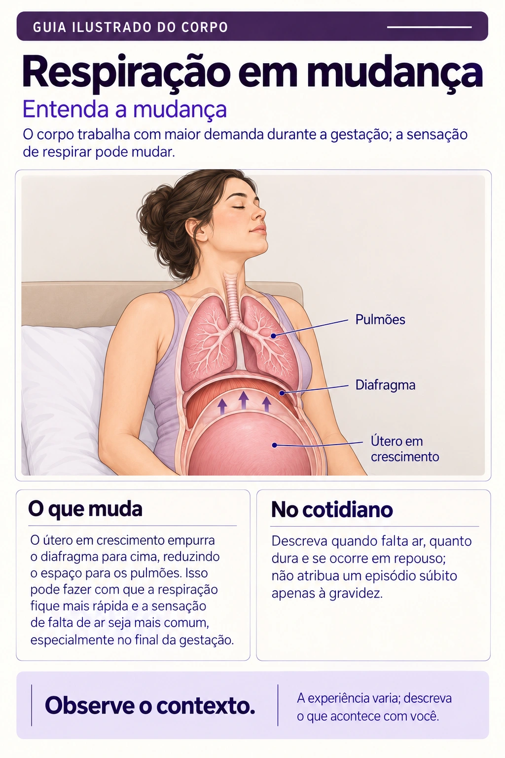 Prévia 2
